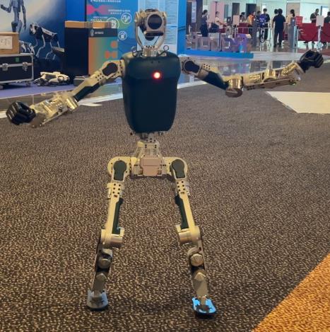 Ludu 3: Full-Size Humanoid Robot Platform